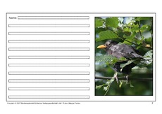 Amsel-eigene-Texte-2.pdf